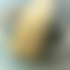 Ruban élastique 30 mm lurex coloris doré
