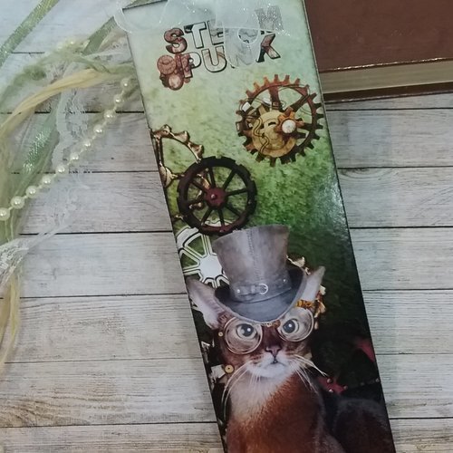 Marque-place chat style steampunk