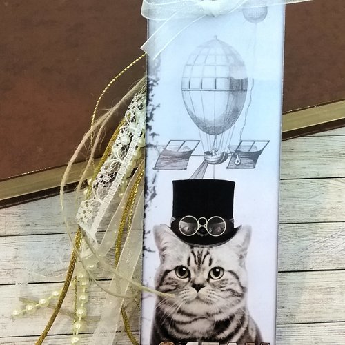 Marque-place chat style steampunk 