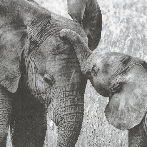 Serviette rare famille eléphant maman et son eléphanteau