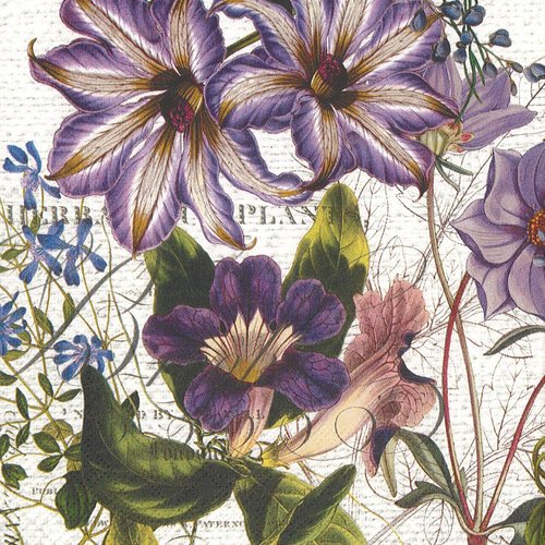 Serviette 33x33 mdw fleur champetre botanic magazine
