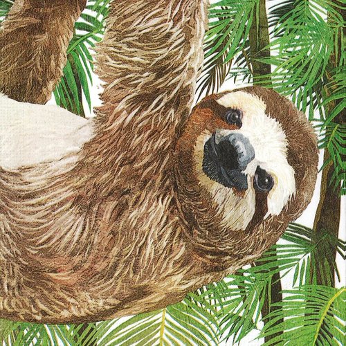 Serviette 33x33 portrait de singe paresseux dans les arbres