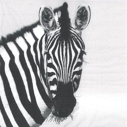 Serviette papier zebre safari photo