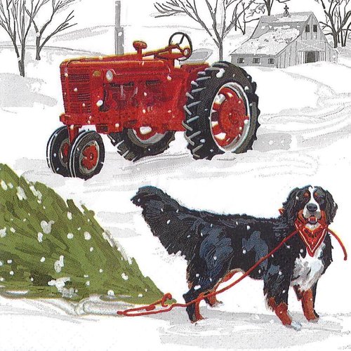 Petite serviette 25x25 le chien et le sapin tracteur rouge