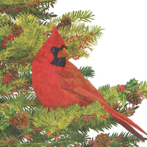 Serviette papier oiseau cardinal dans le sapin