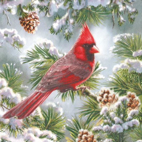 Serviette papier cardinal sapin dans la neige