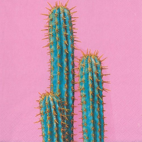 Serviette papier cactus bleu fond rose