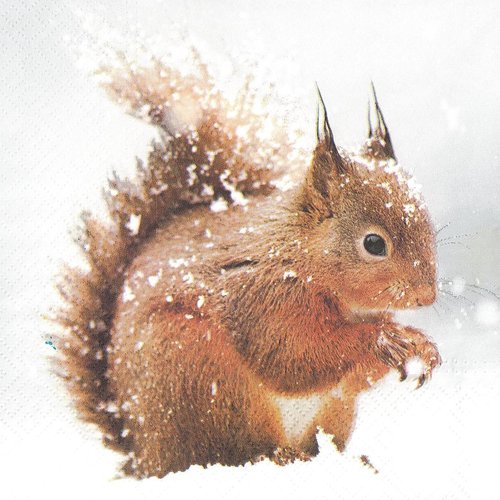 Serviette papier petit ecureuil sous la tempête de neige