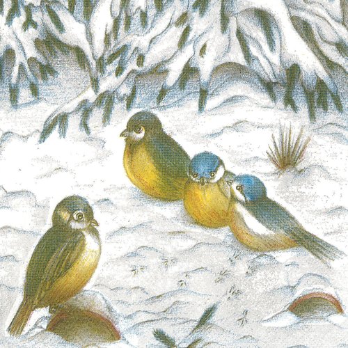 Serviette papier oiseau mésange bleue dans la neige