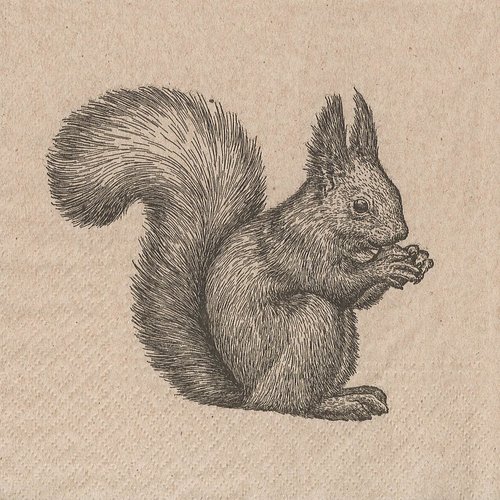 Serviette papier petit ecureuil fond marron