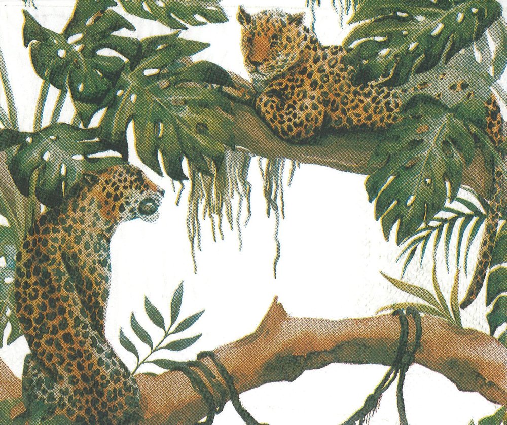 Leopard Léopard Nappe Extérieure Art sauvage et libre coloré 