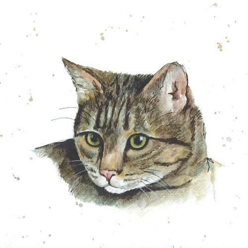 Serviette papier portrait de chat et chat assis dans l'herbe