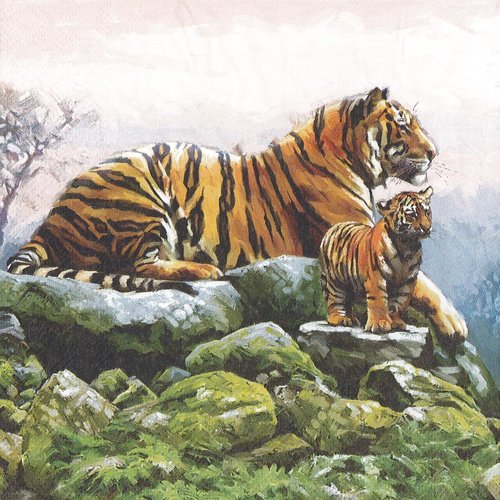 Serviette papier tigre de sibérie et tigron dans les montagnes