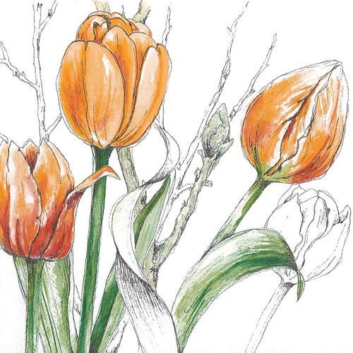 Serviette papier tulipe orange à colorier