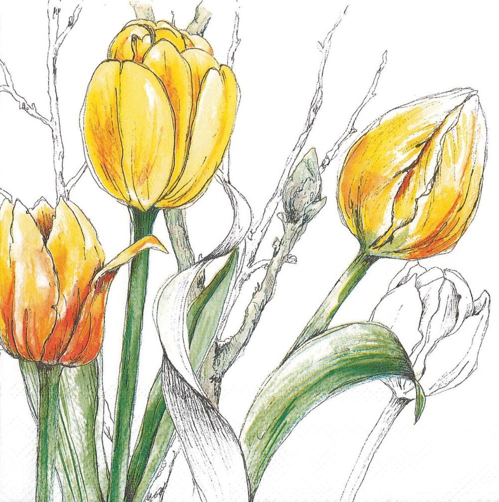 Serviette papier tulipe jaune à colorier - Un grand marché