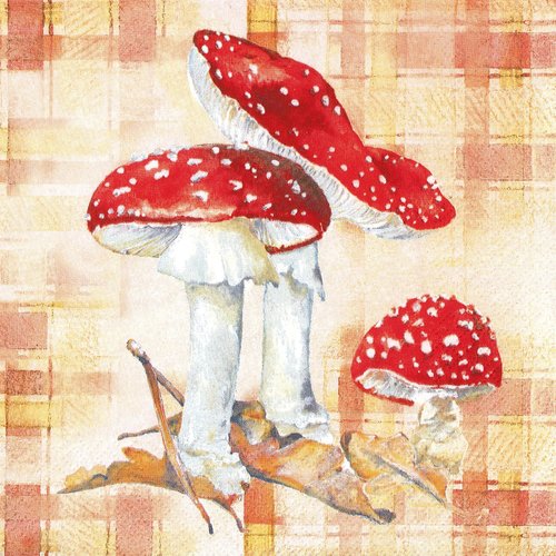 Serviette papier champignon rouge tache blanche