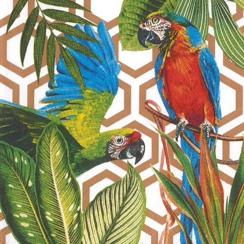 Serviette papier perroquet sous les tropiques