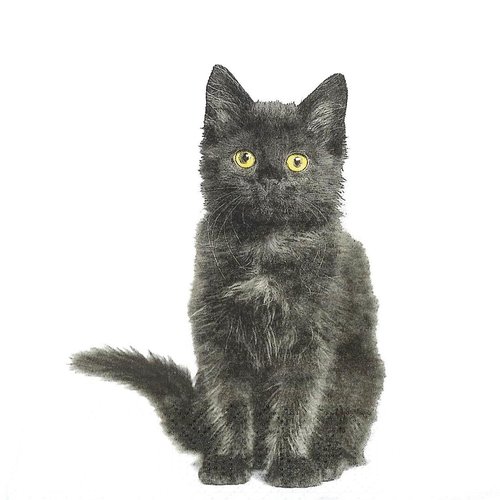Serviette papier petit chat noir