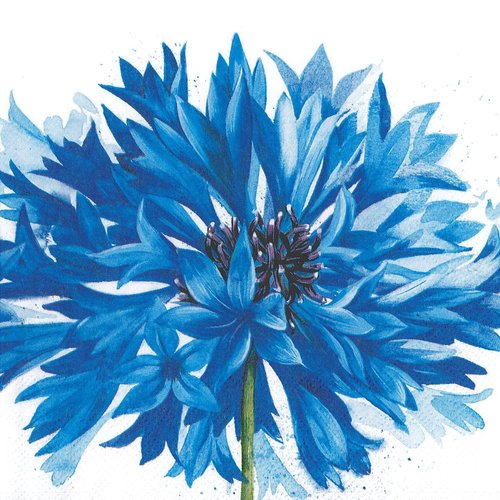 Serviette papier tableau belle agapanthe bleue