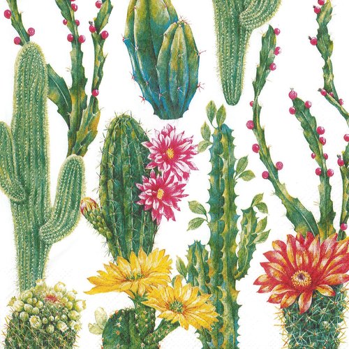 Serviette papier petit et grand cactus fleuris