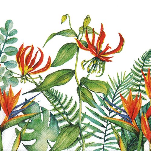 Serviette papier fleurs exotiques chevrefeuille et perroquet