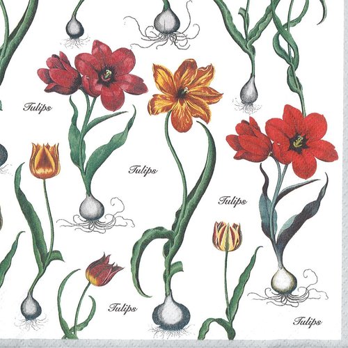Serviette papier tulipes et narcissestableau botanique