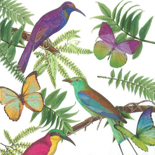 Serviette papier oiseau de paradis et papillon