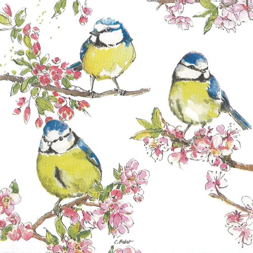 Serviette papier mésange bleue et fleurs de cerisiers