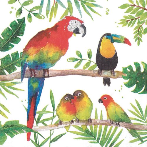 Serviette papier famille perroquet sous les tropiques