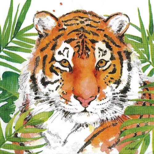 Serviette papier tigre sumatra 