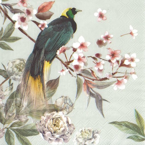 Serviette papier joli oiseau exotique long plumage fleur de pivoine