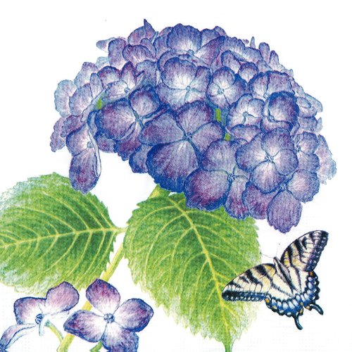 Serviette papier bel hortensia bleu et papillon