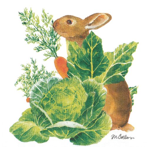 Serviette papier lapin gourmand dans le potager