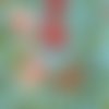 Serviette papier tableau de rose et églantine sur fond turquoise