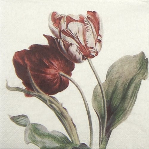 Serviette papier duo de tulipe rouge