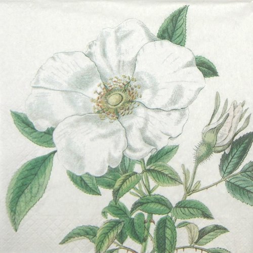 Serviette papier rose eglantine blanche
