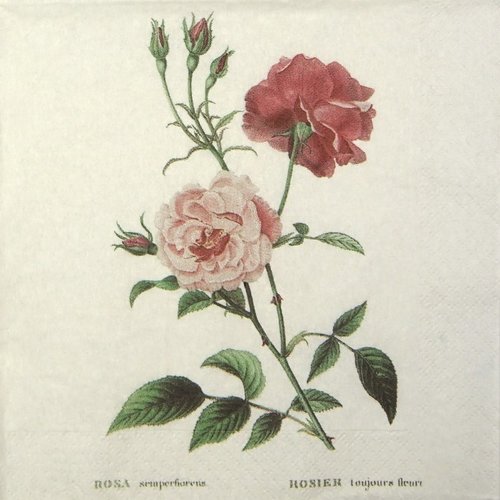 Serviette papier rose semperfiorens