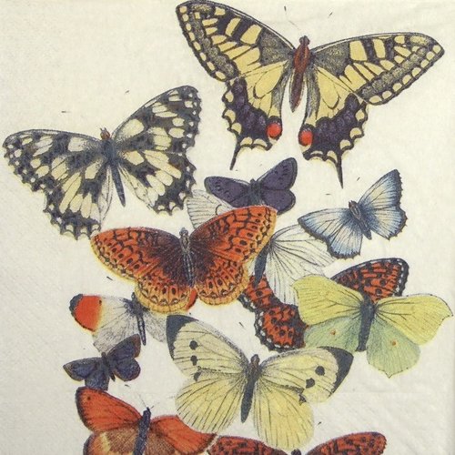 Serviette papier envol de papillons