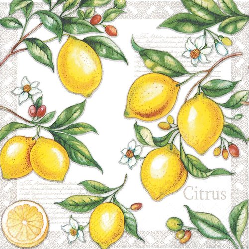 Serviette papier tableau citron et fleur