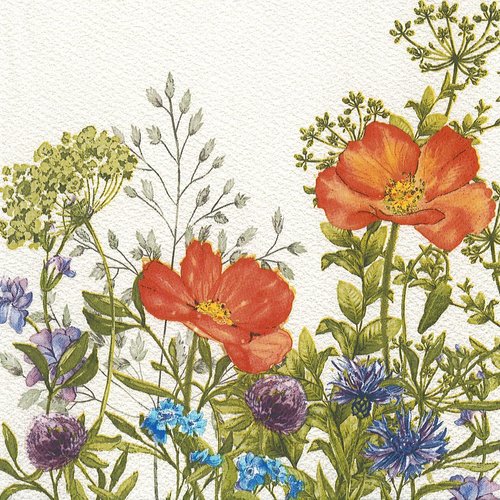 Serviette papier coquelicot et trefles fleurs des champs