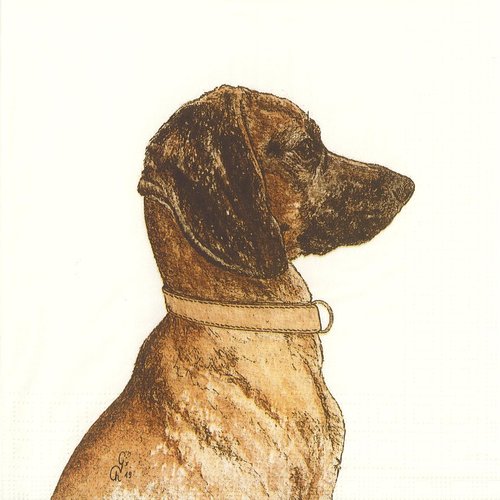 Serviette papier portrait du chien oslo