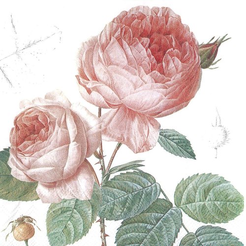 Serviette papier rose elisabeth et bourgeon