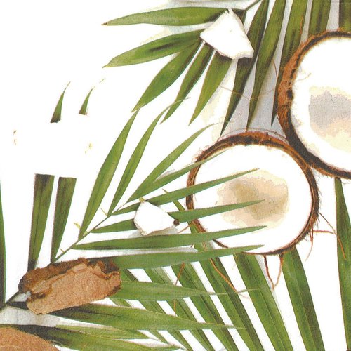 Serviette papier cocotier noix de coco