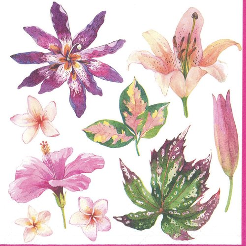 Serviette papier hibiscus fleur de la passion lys