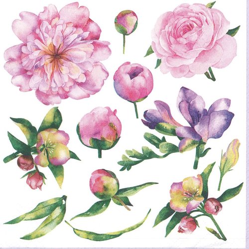 Serviette papier tableau de pivoine rose freesia