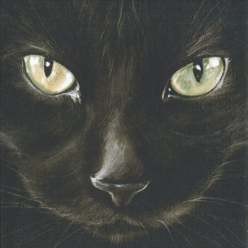 Serviette papier chat noir au grands yeux