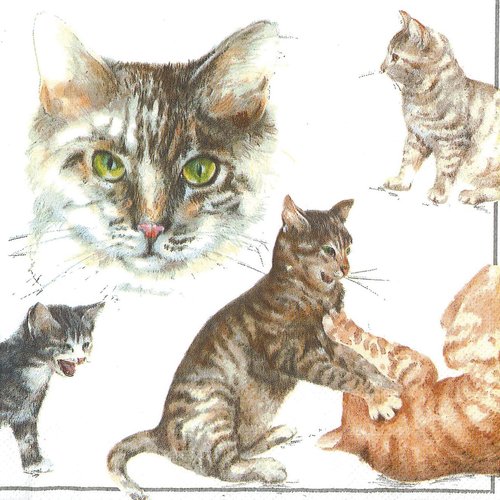 Serviette papier ronde des chats