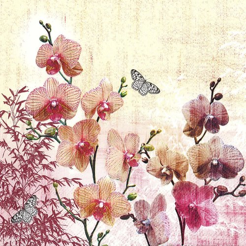 Serviette papier orchidée et papillon fleur d'asie