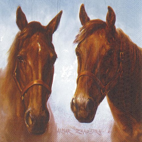 Serviette papier portrait de chevaux