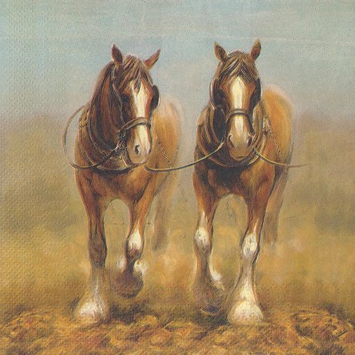 Serviette papier labour chevaux de trait